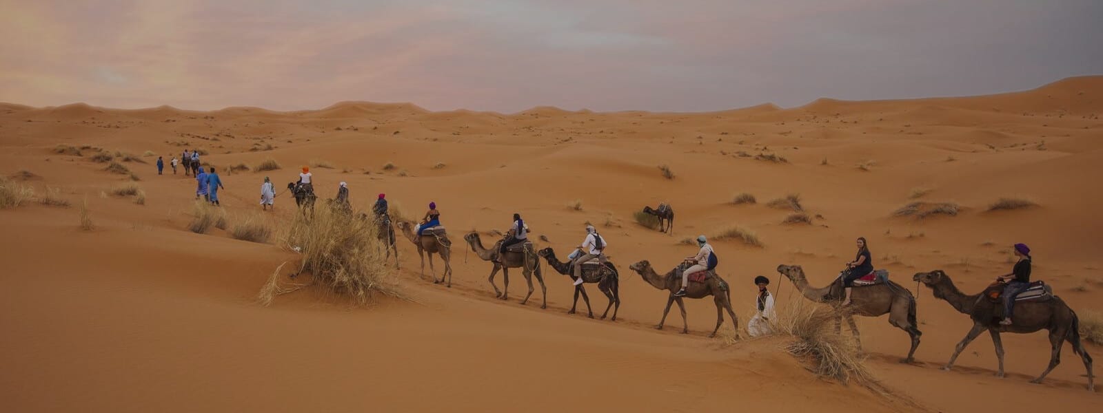 Sahara Desert Tour - Marrakech Sahara Trips