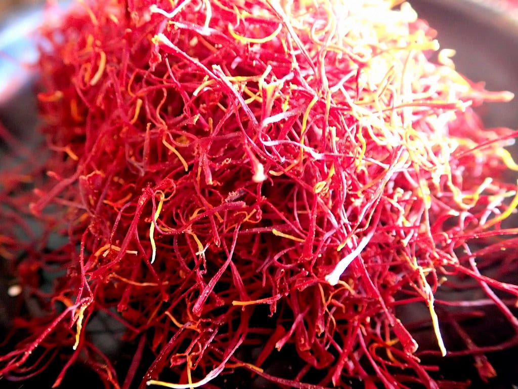 growing saffron morocco